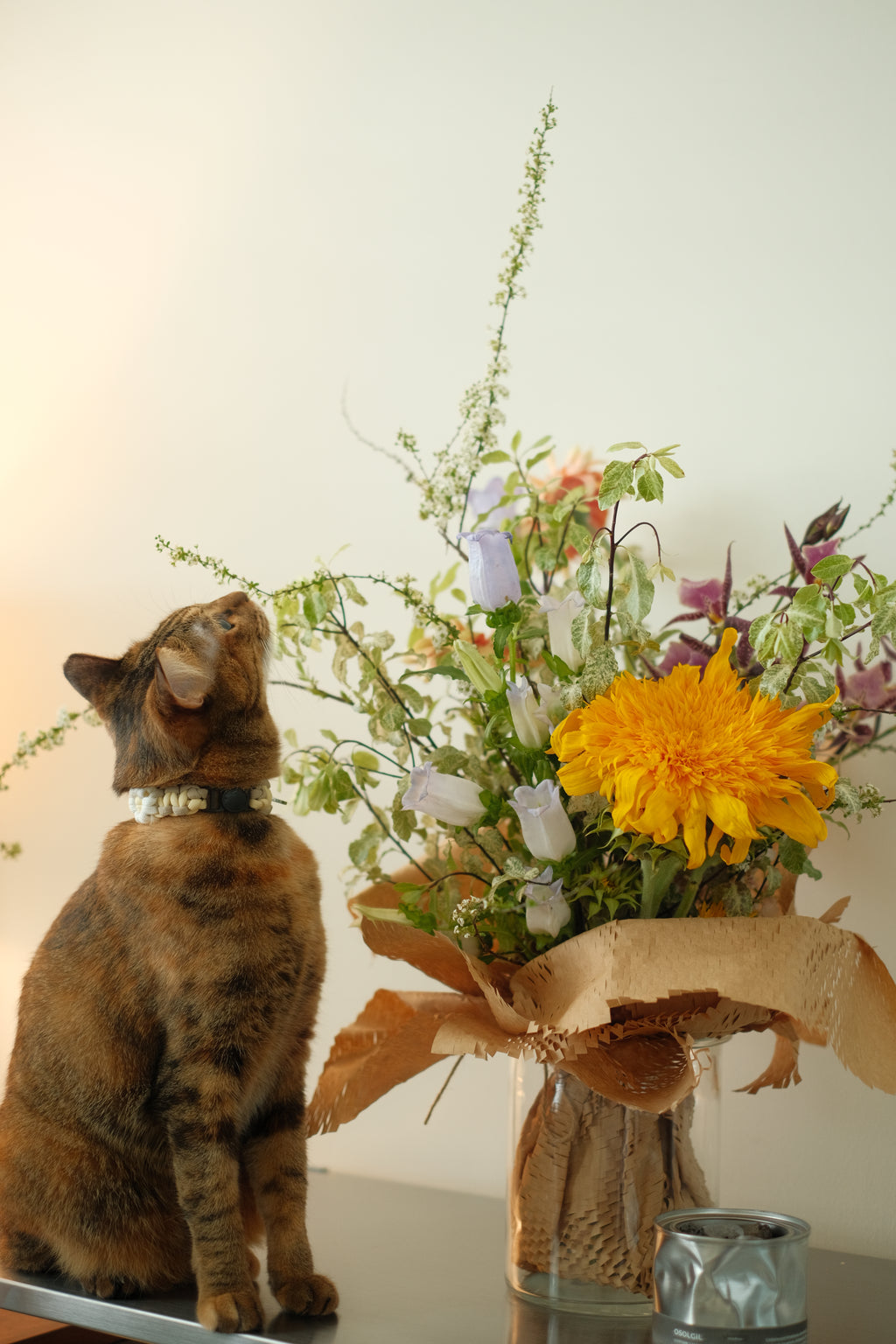 Florist's Choice