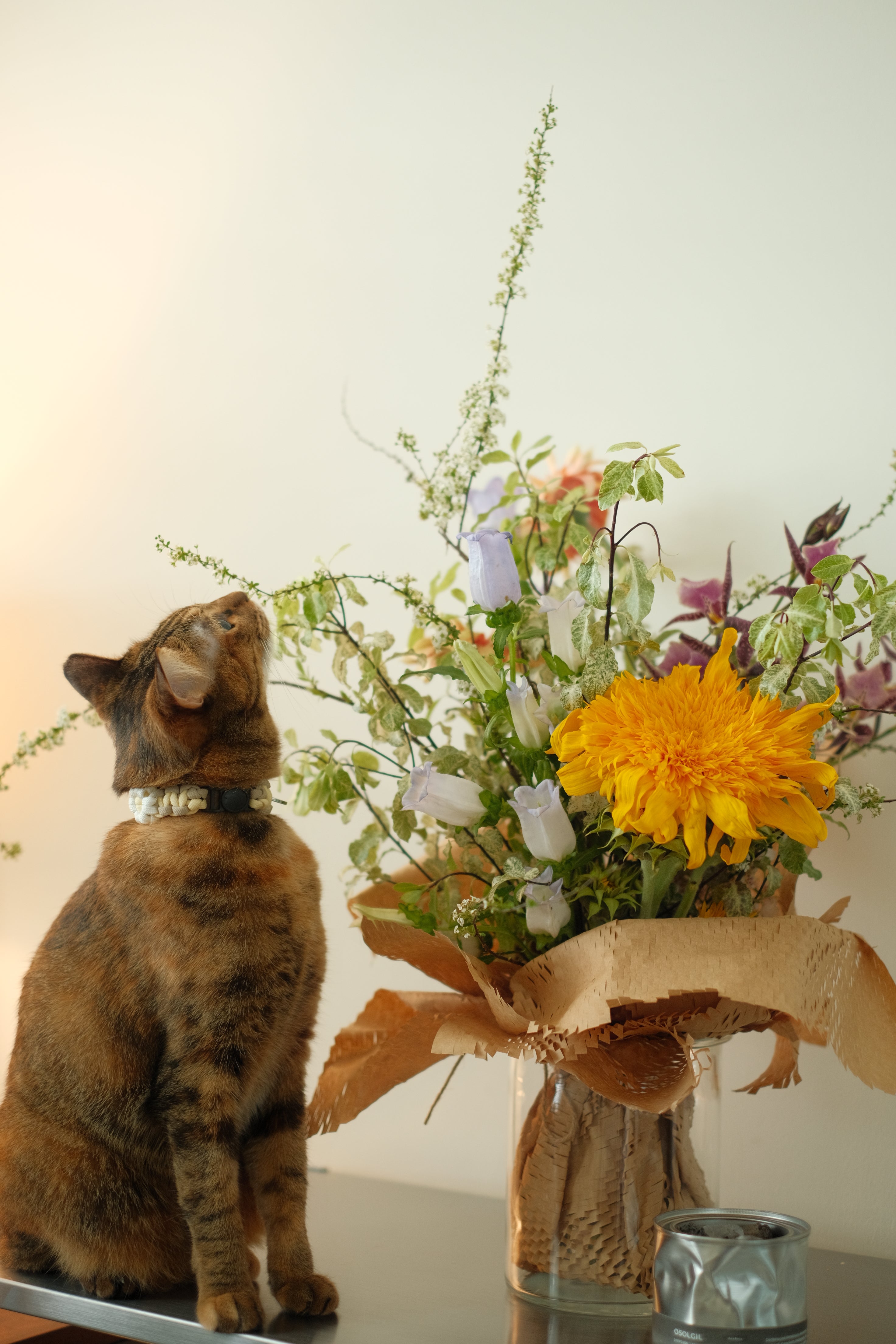 Florist's Choice