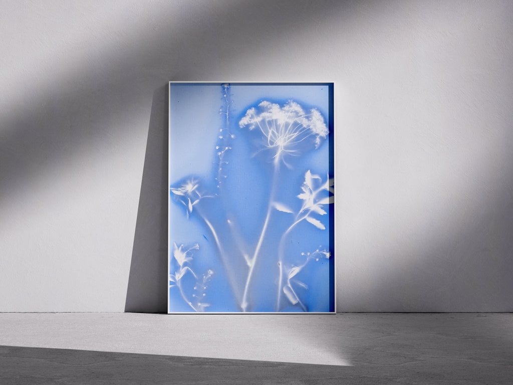 Lumen Print — Coloured