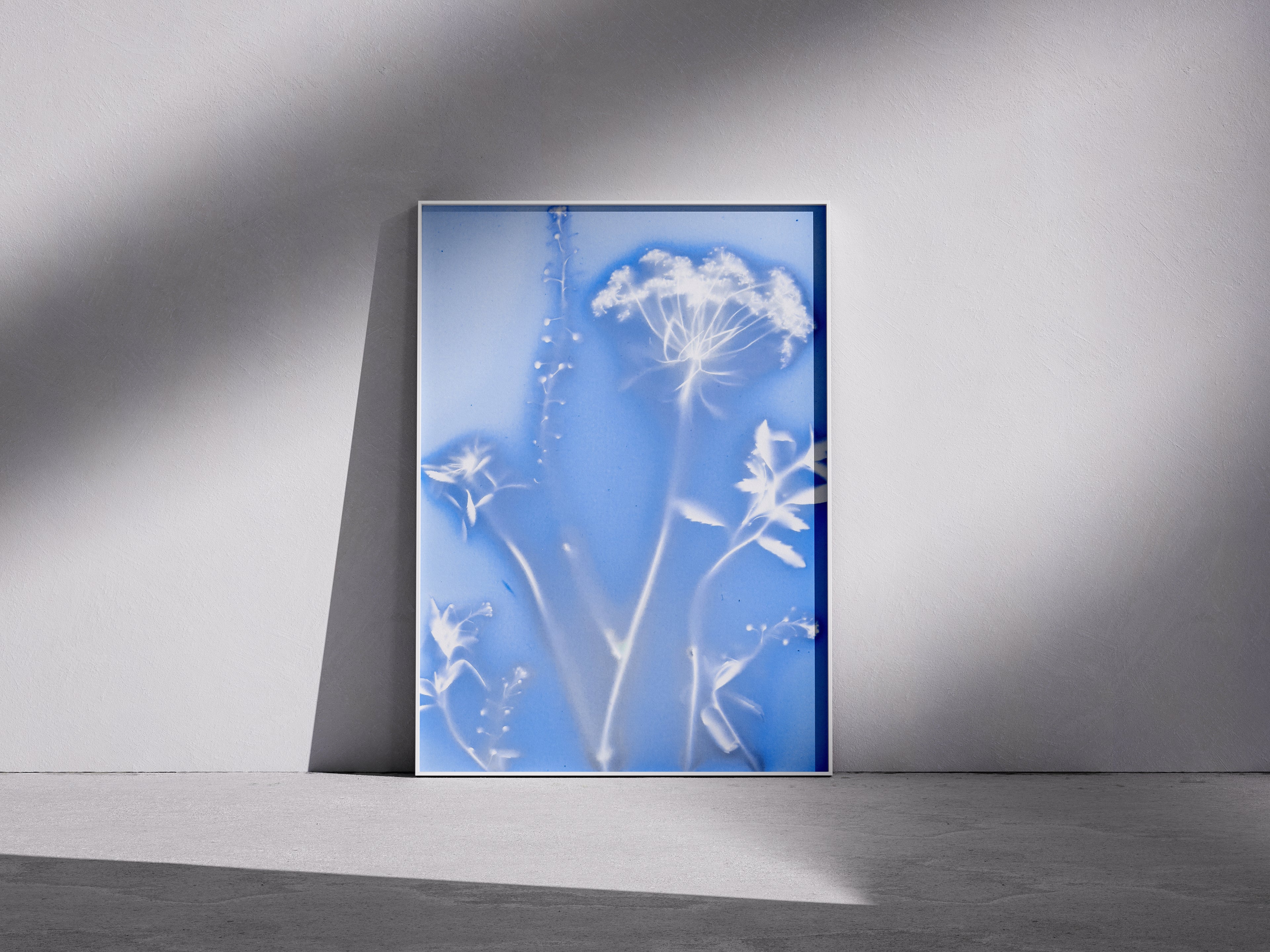 Lumen Print — Coloured