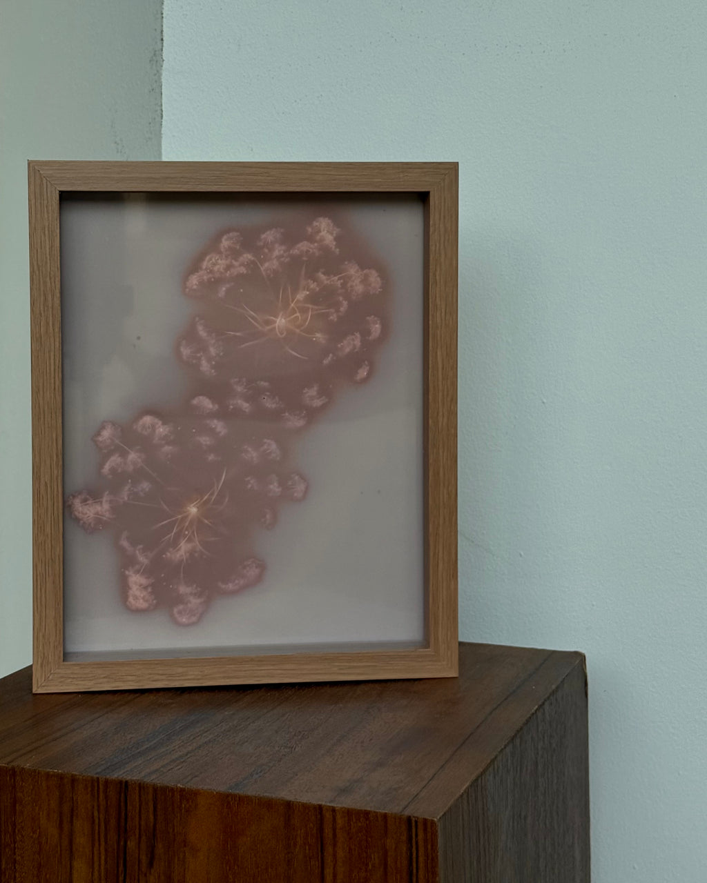 Lumen Print Workshop