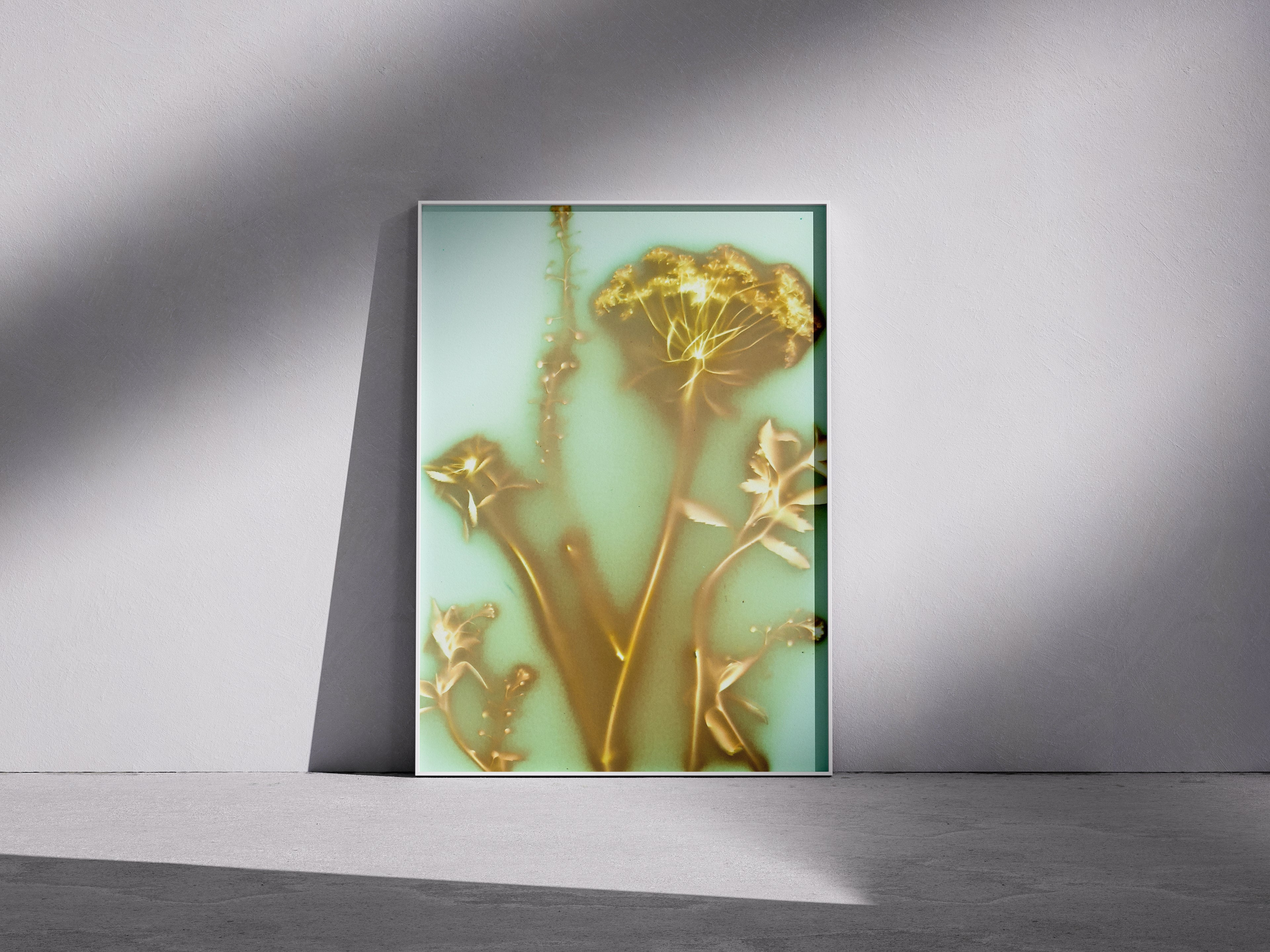 Lumen Print — Coloured