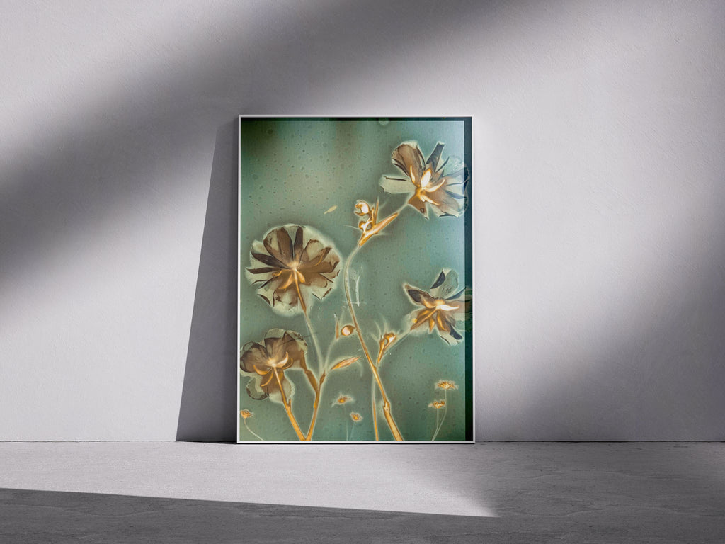 Lumen Print — Coloured