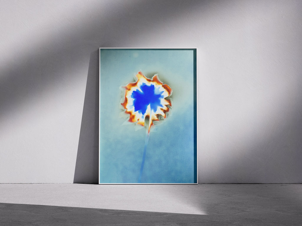 Lumen Print — Coloured