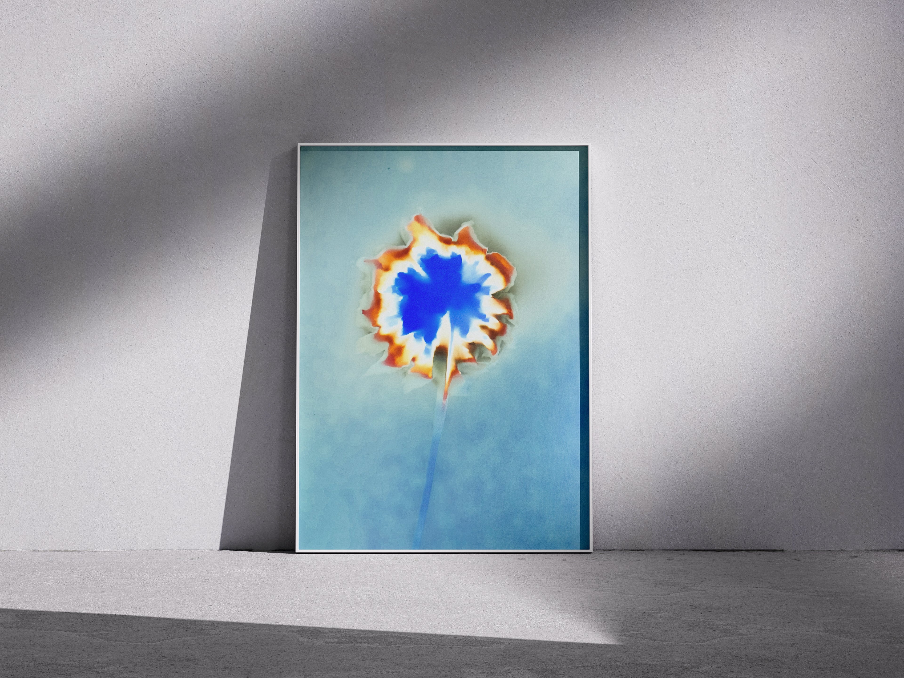 Lumen Print — Coloured