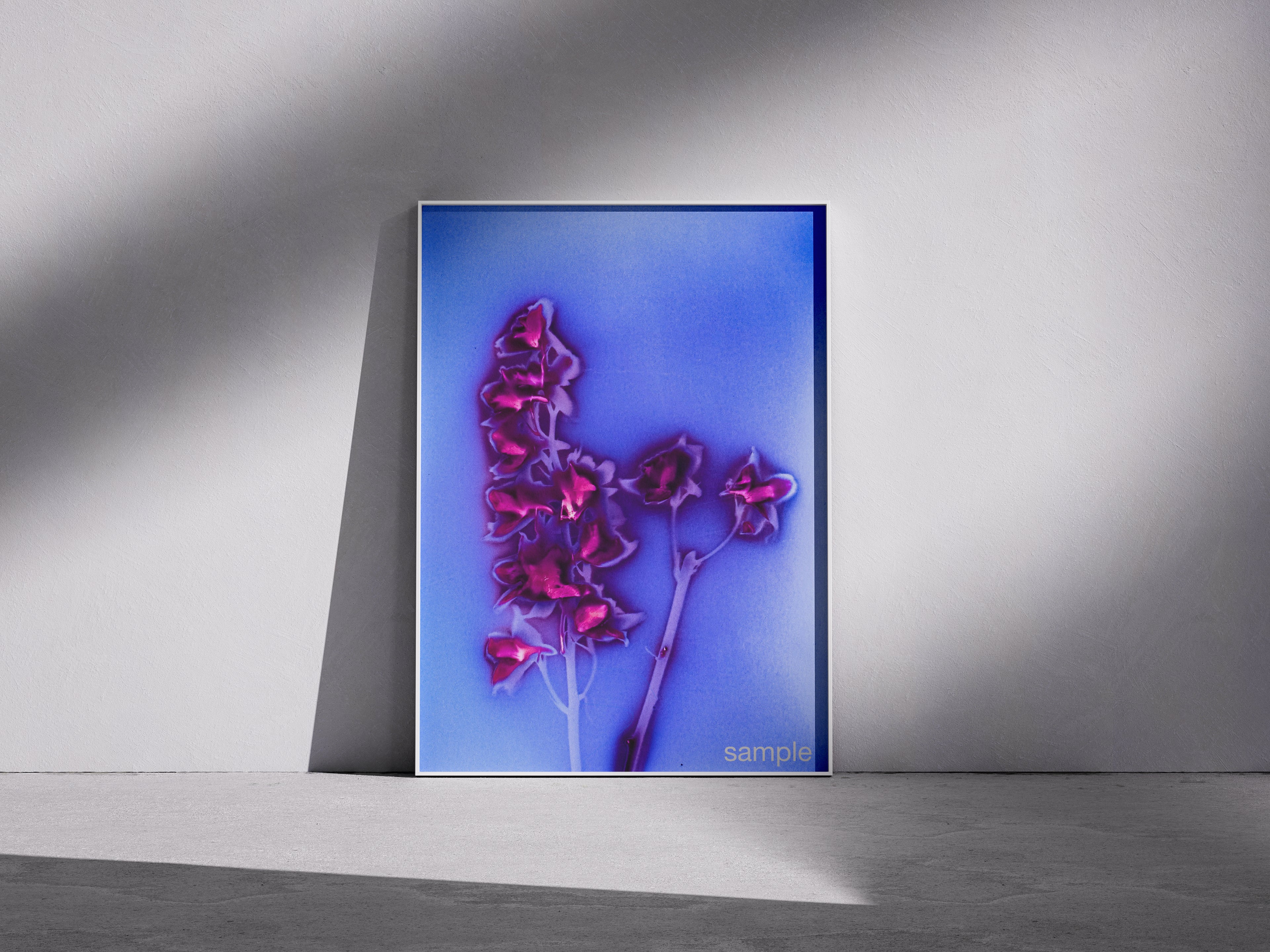 Lumen Print — Coloured