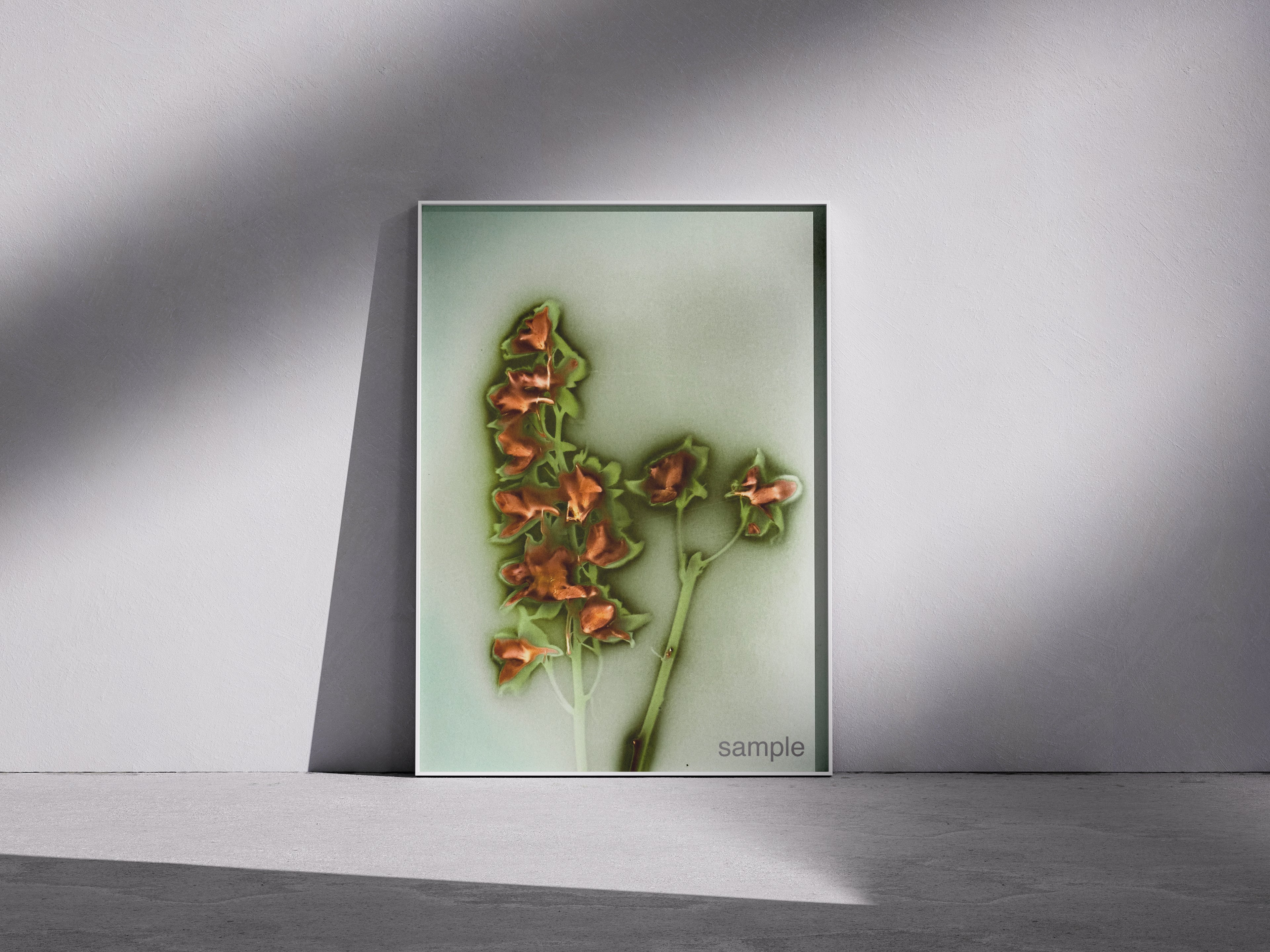 Lumen Print — Coloured