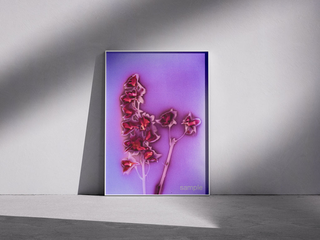 Lumen Print — Coloured