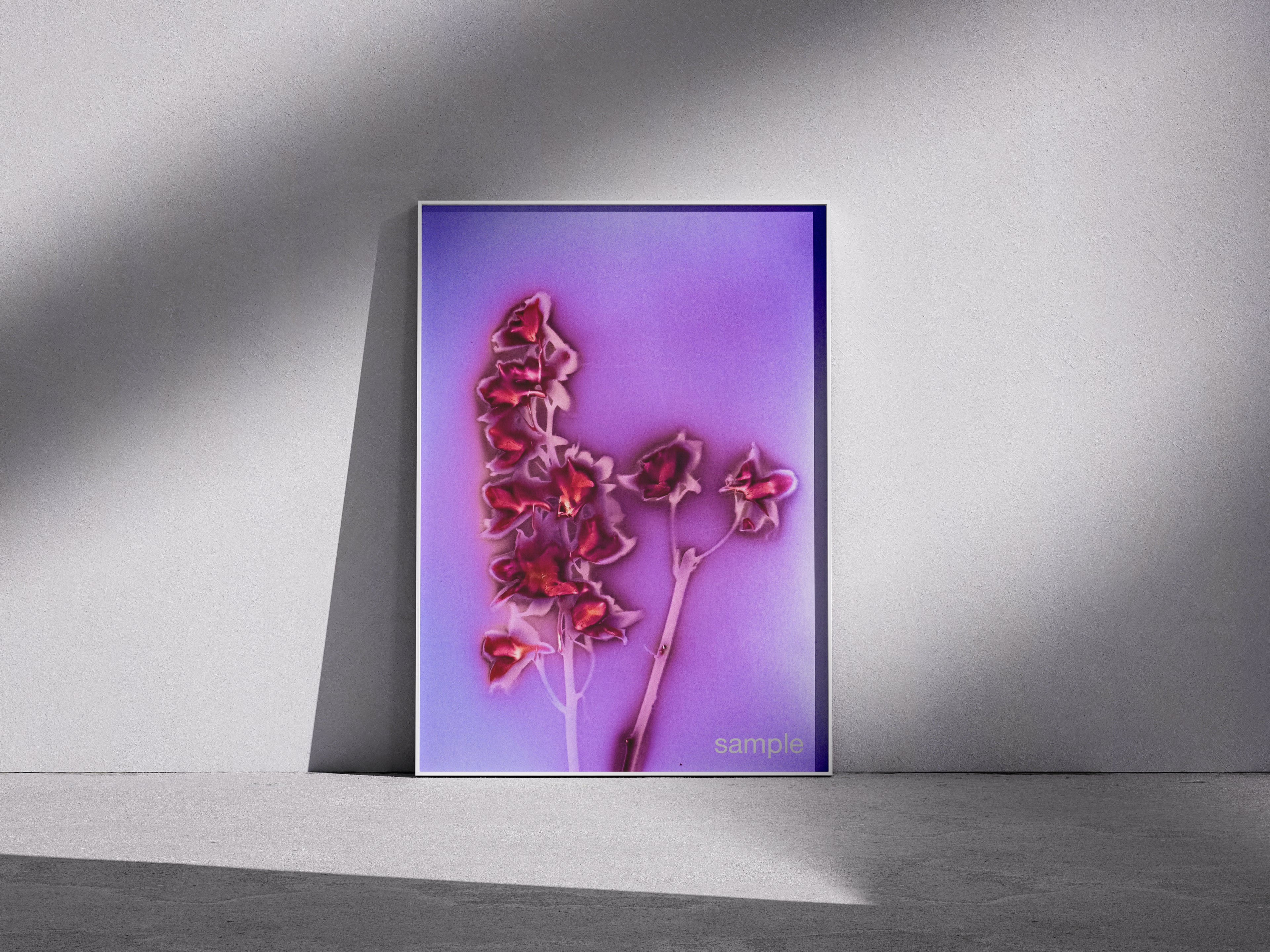 Lumen Print — Coloured