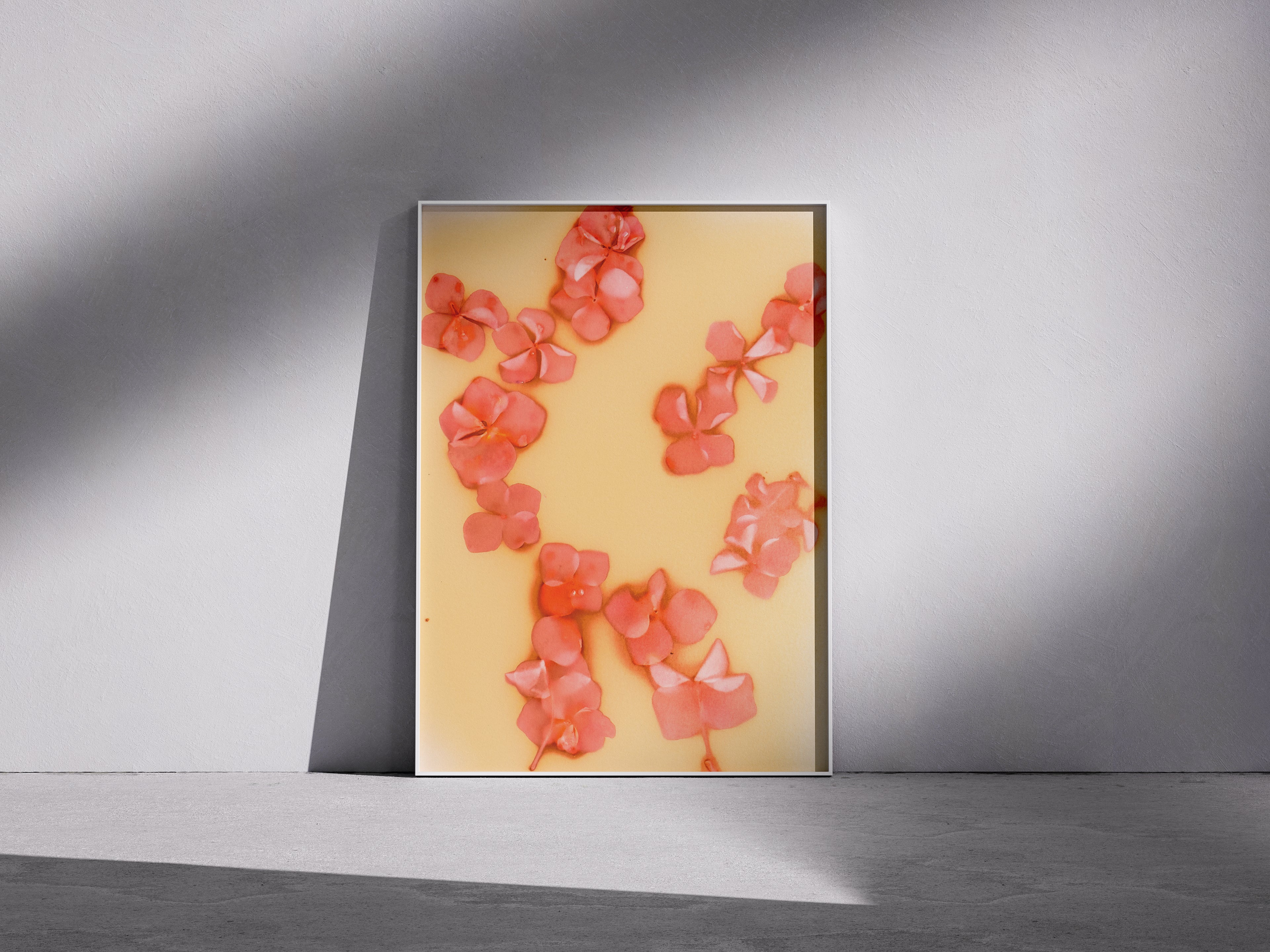 Lumen Print — Coloured