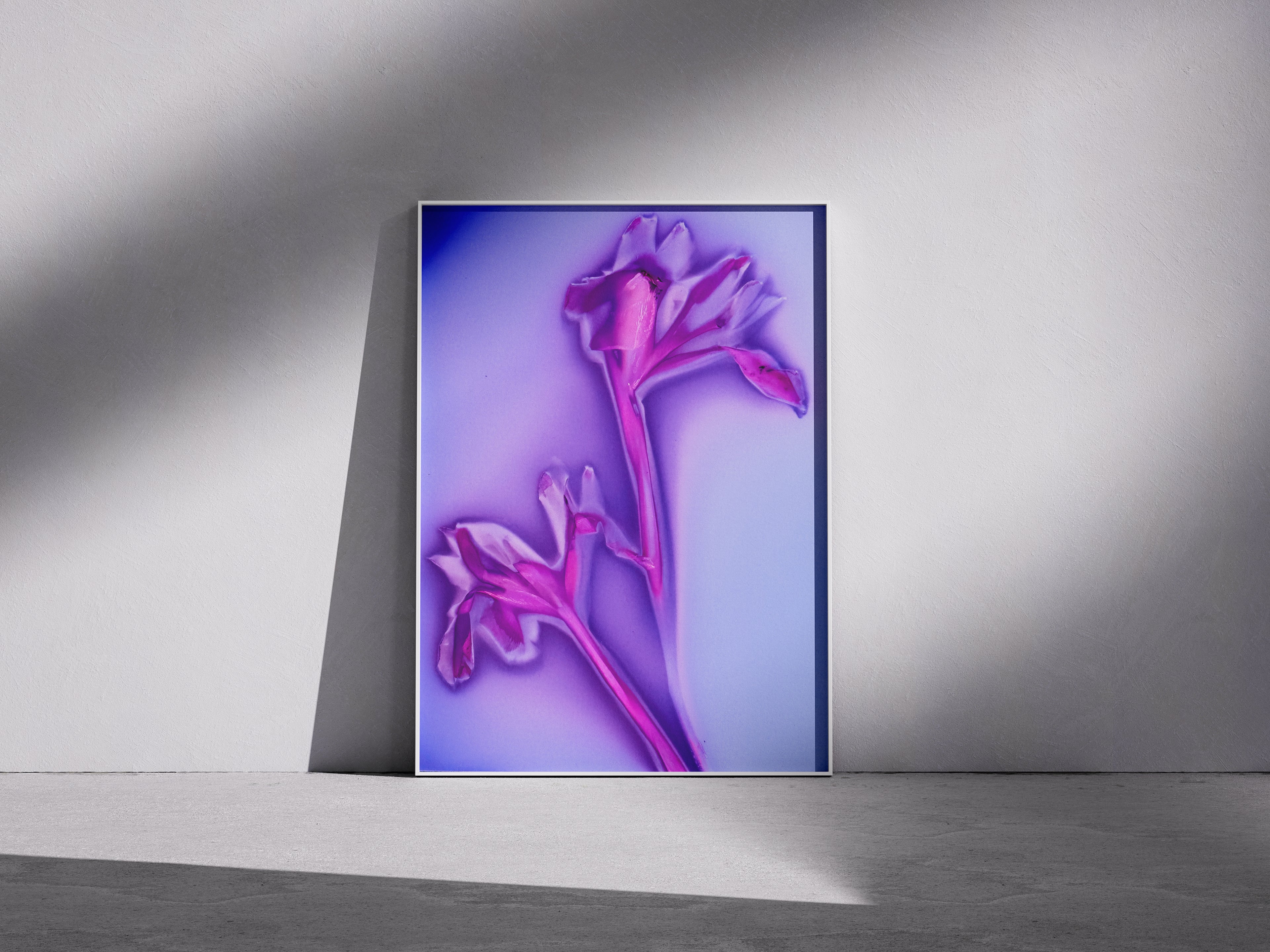 Lumen Print — Coloured