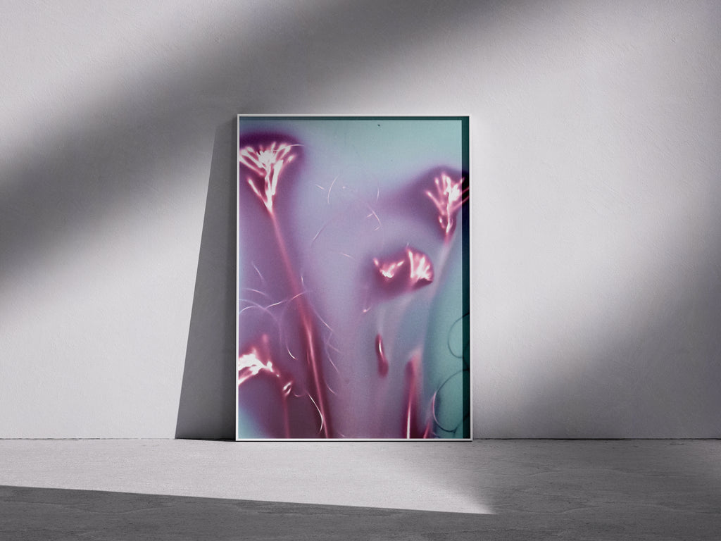 Lumen Print — Coloured