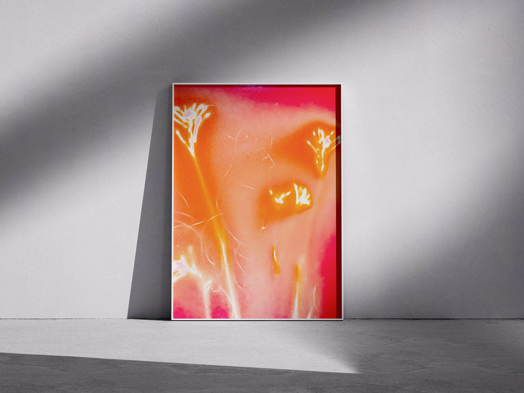 Lumen Print — Coloured