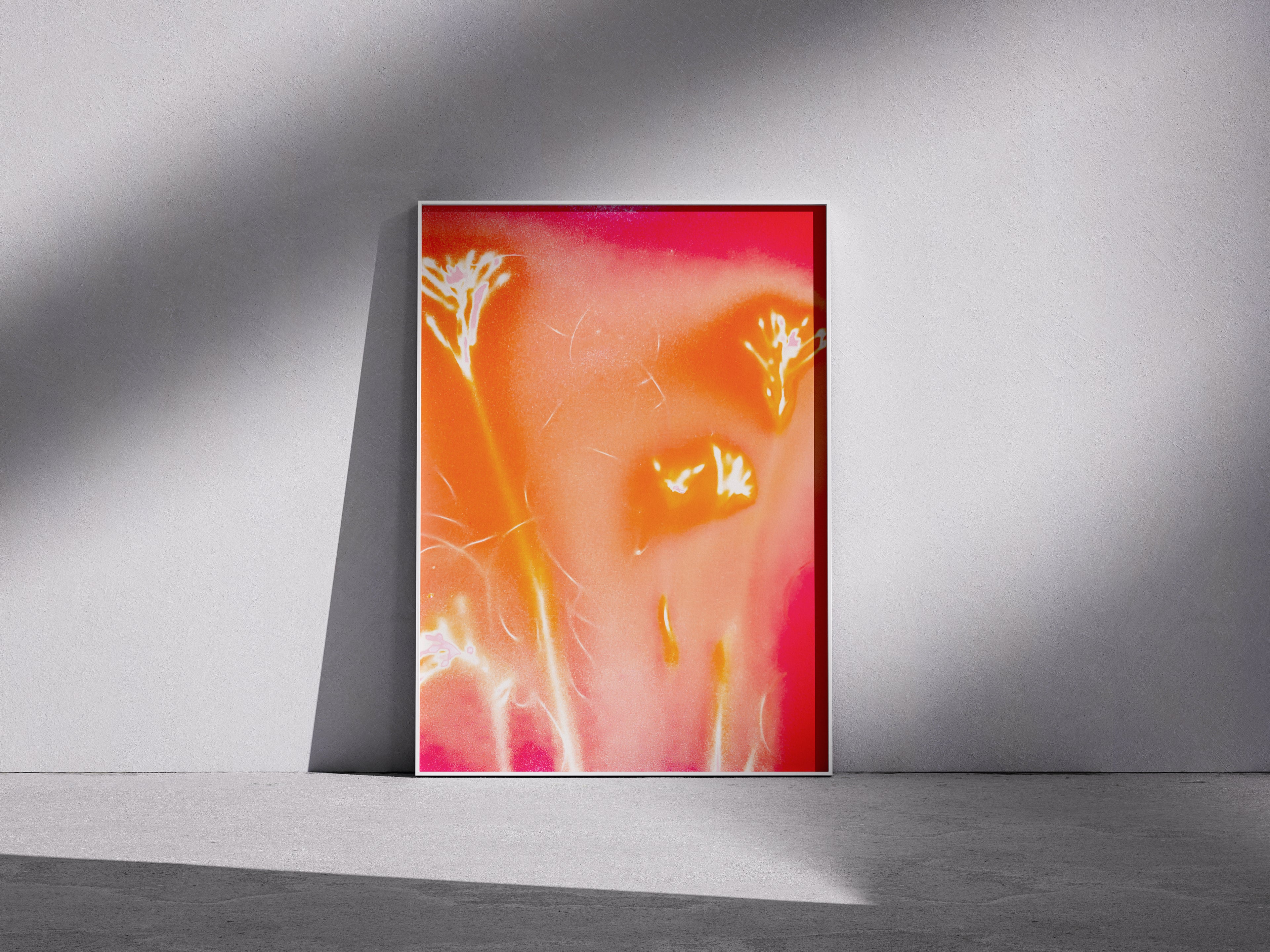 Lumen Print — Coloured