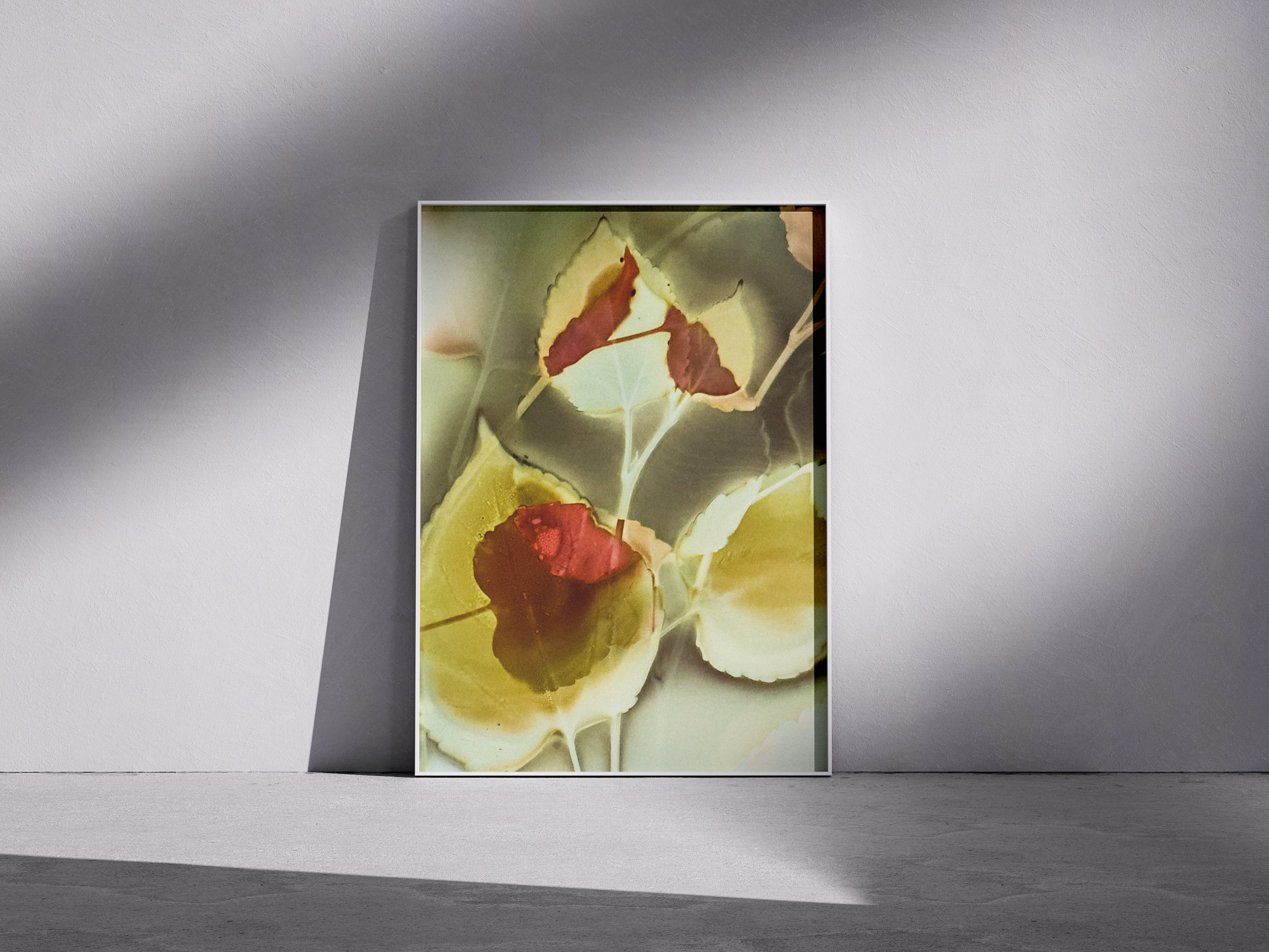 Lumen Print — Coloured