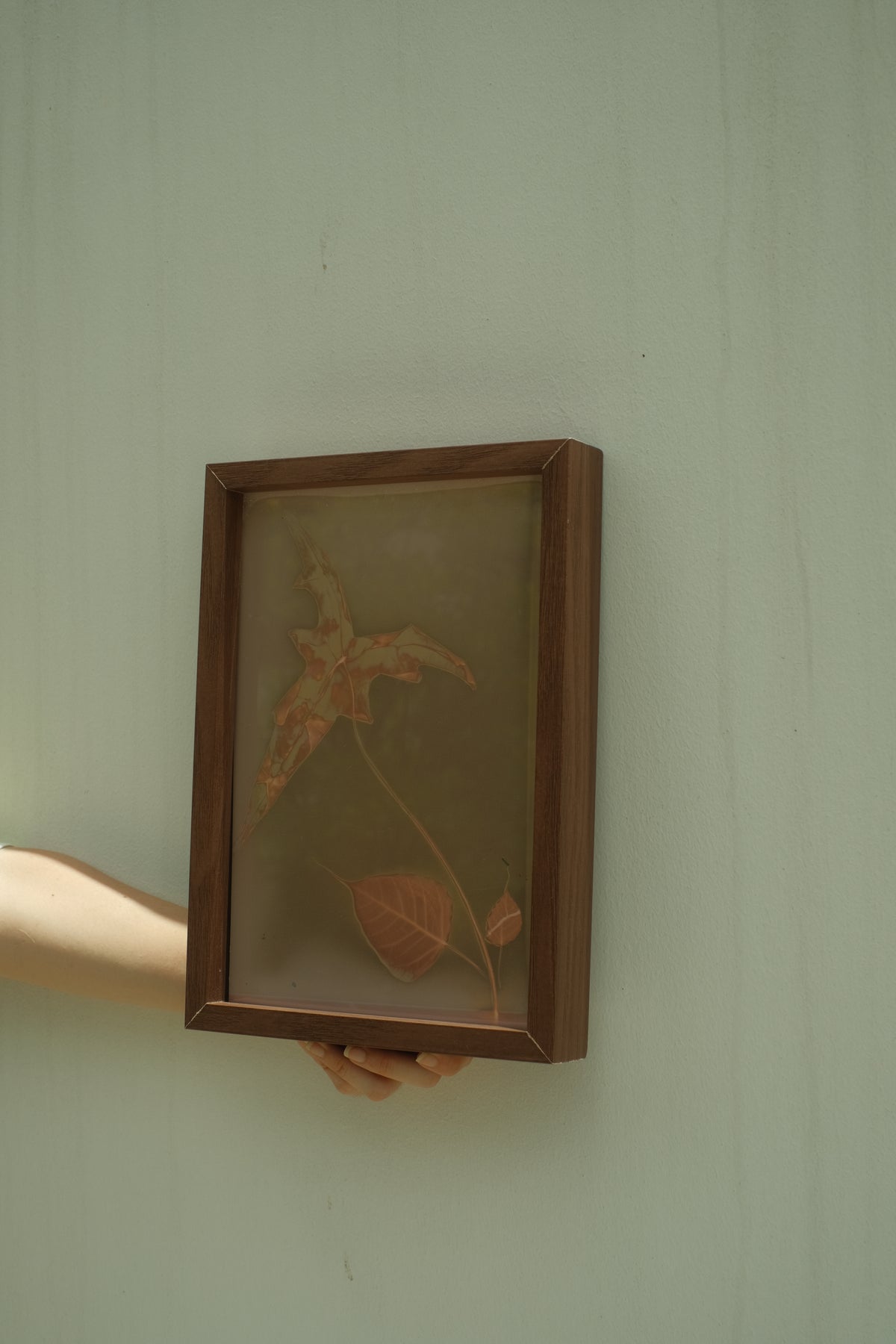 ACM x WILT Lumen Print Workshop