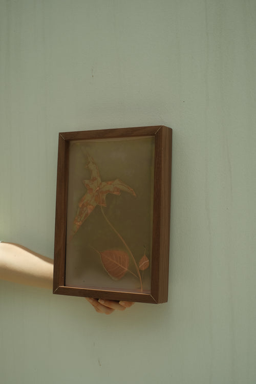 ACM x WILT Lumen Print Workshop