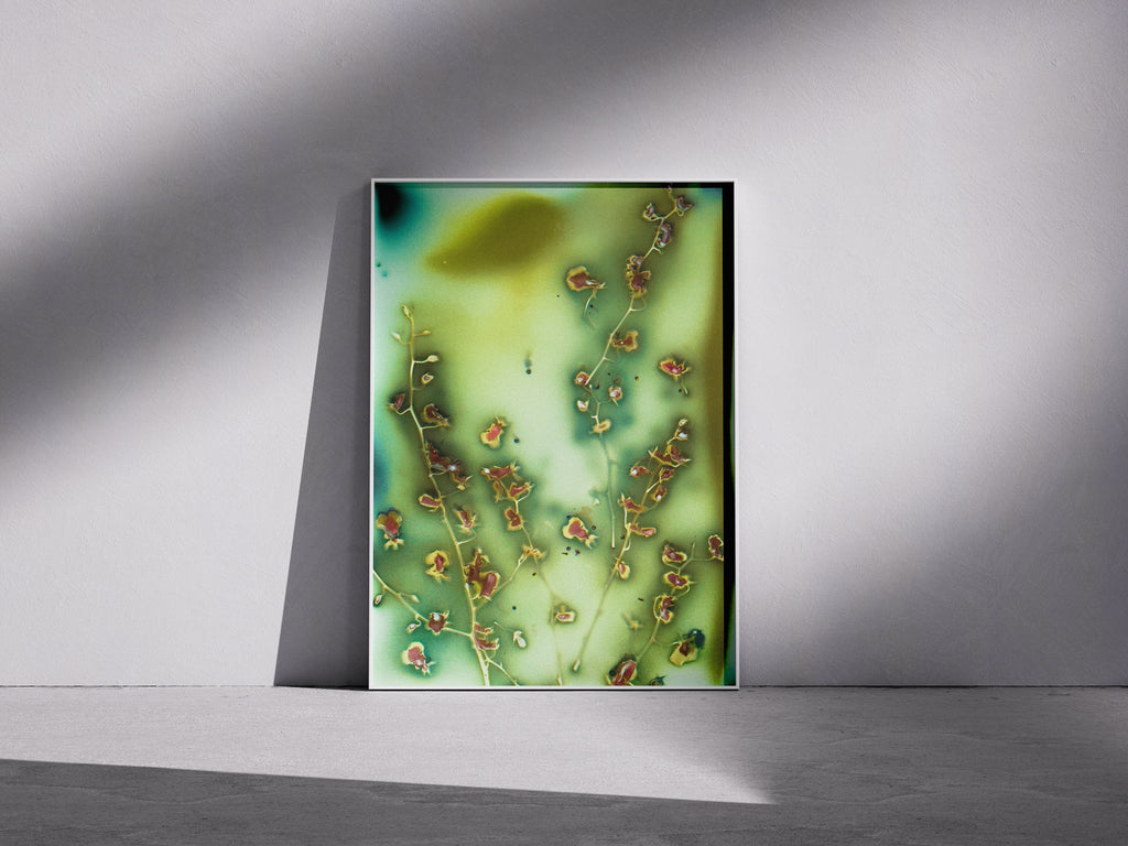 Lumen Print — Coloured
