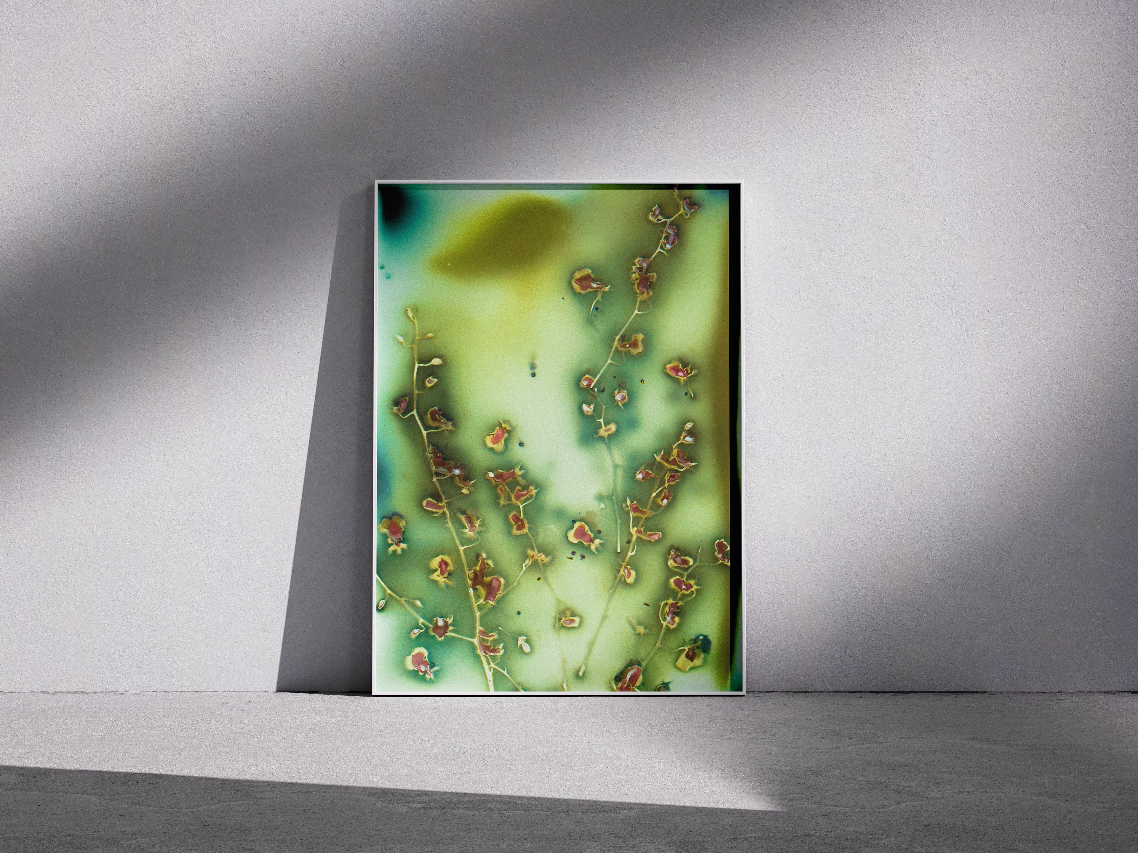 Lumen Print — Coloured