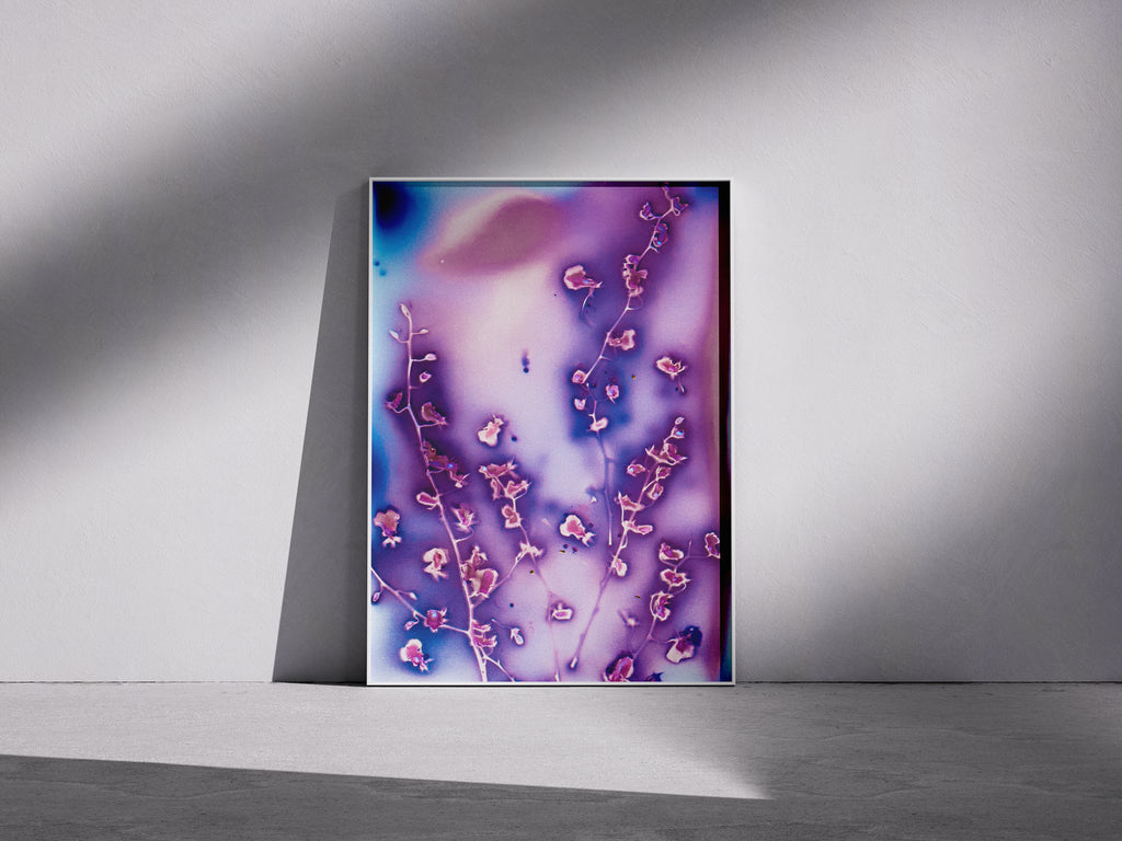 Lumen Print — Coloured