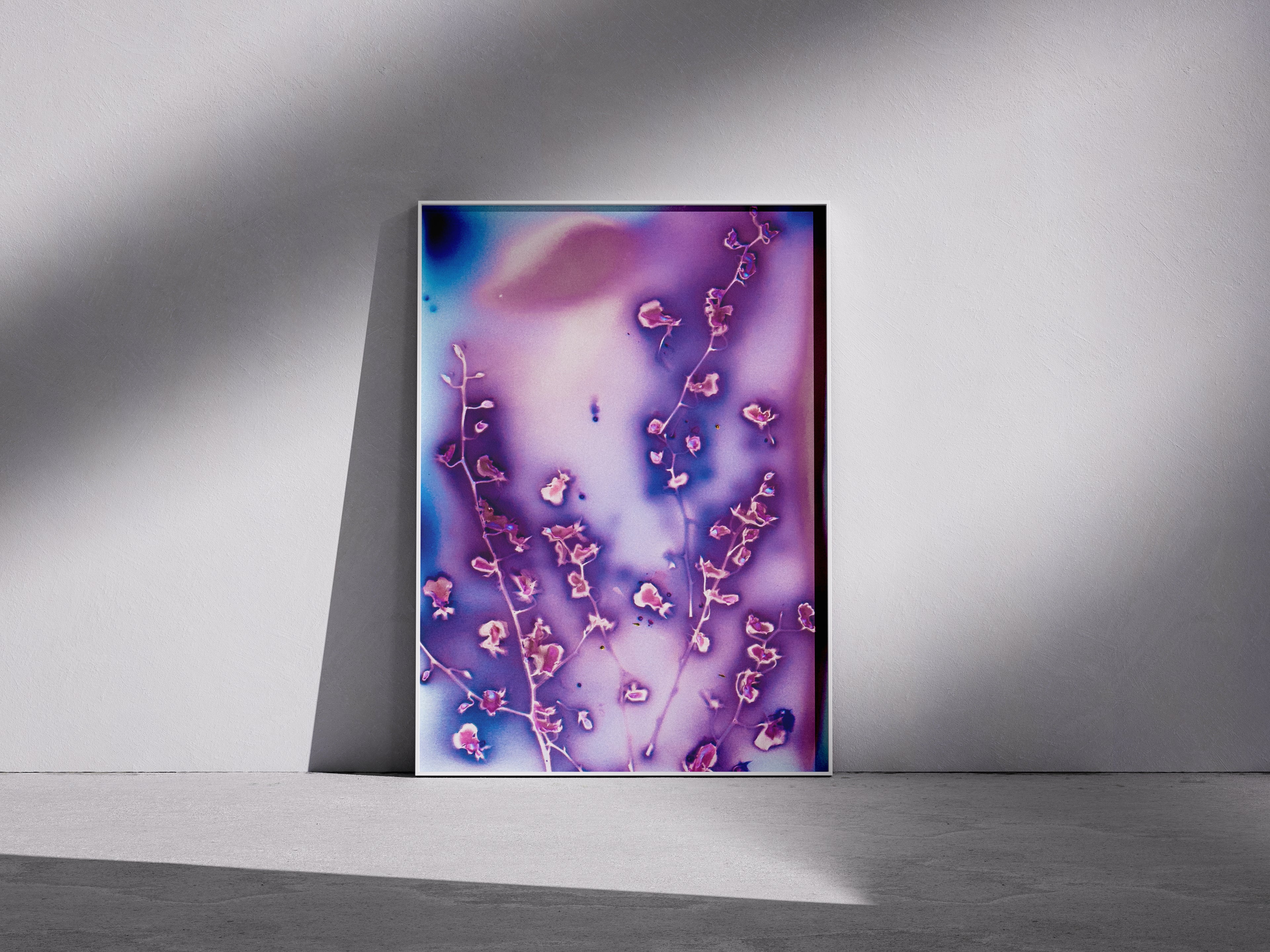 Lumen Print — Coloured