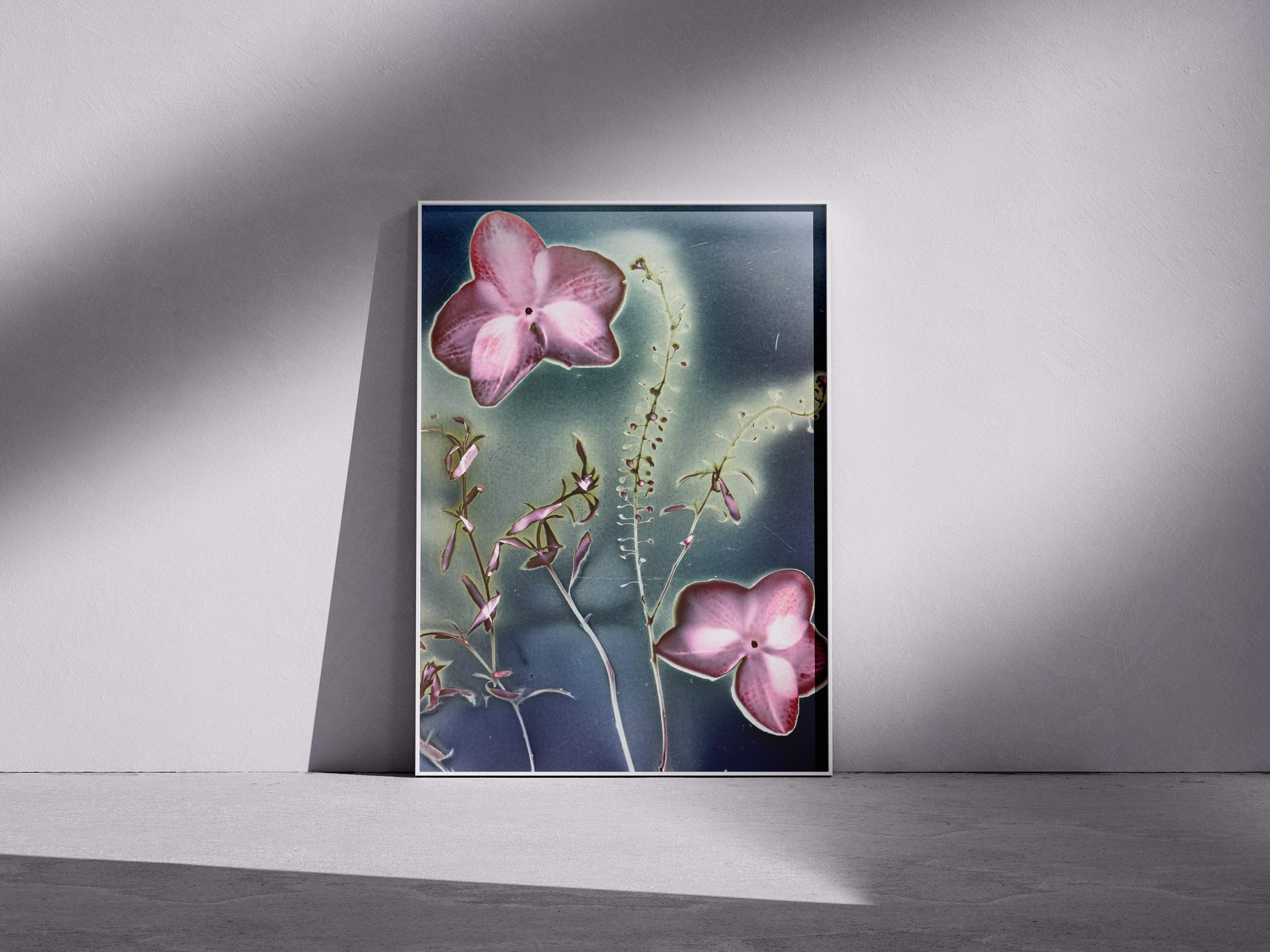 Lumen Print — Coloured