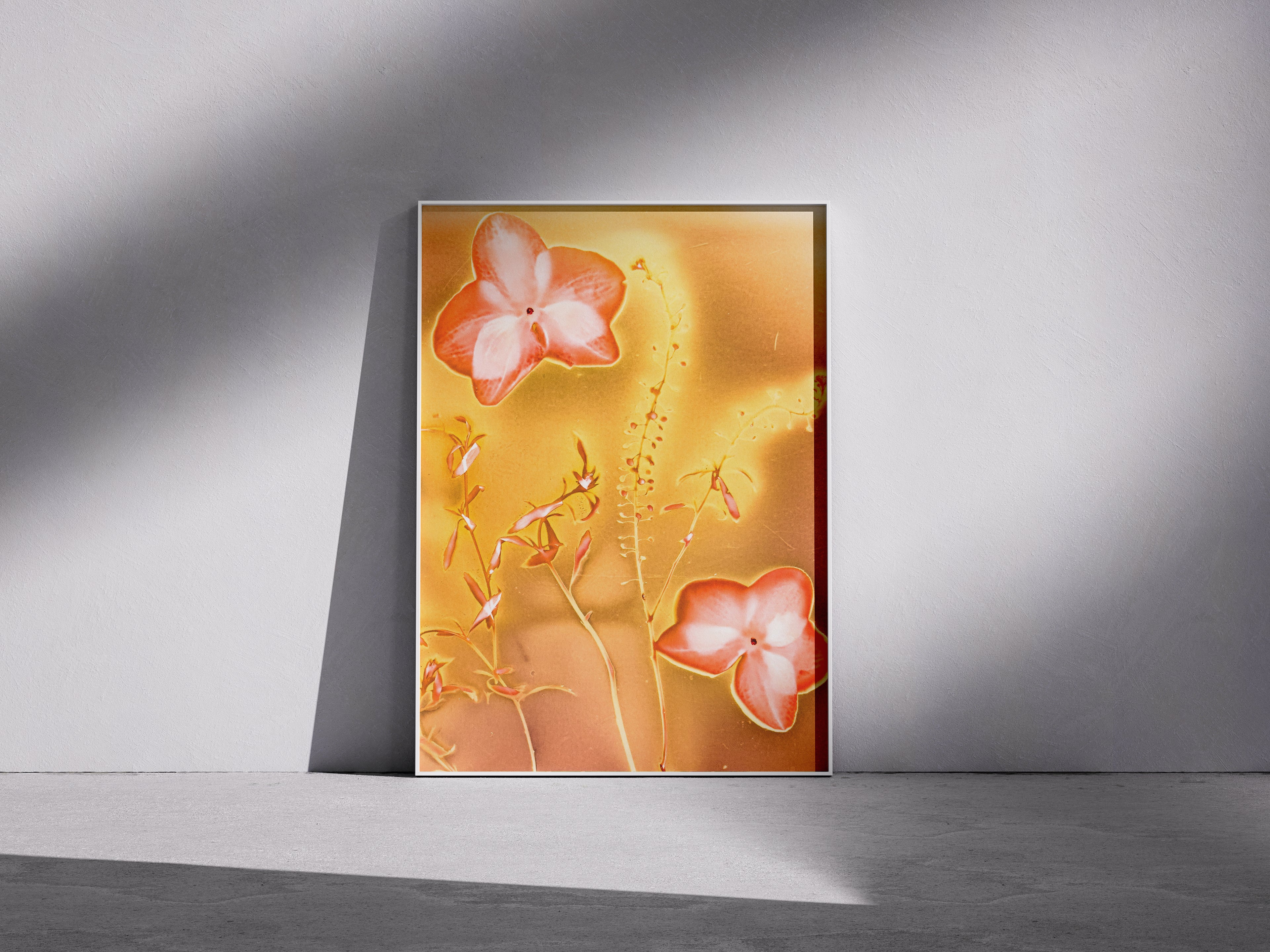 Lumen Print — Coloured