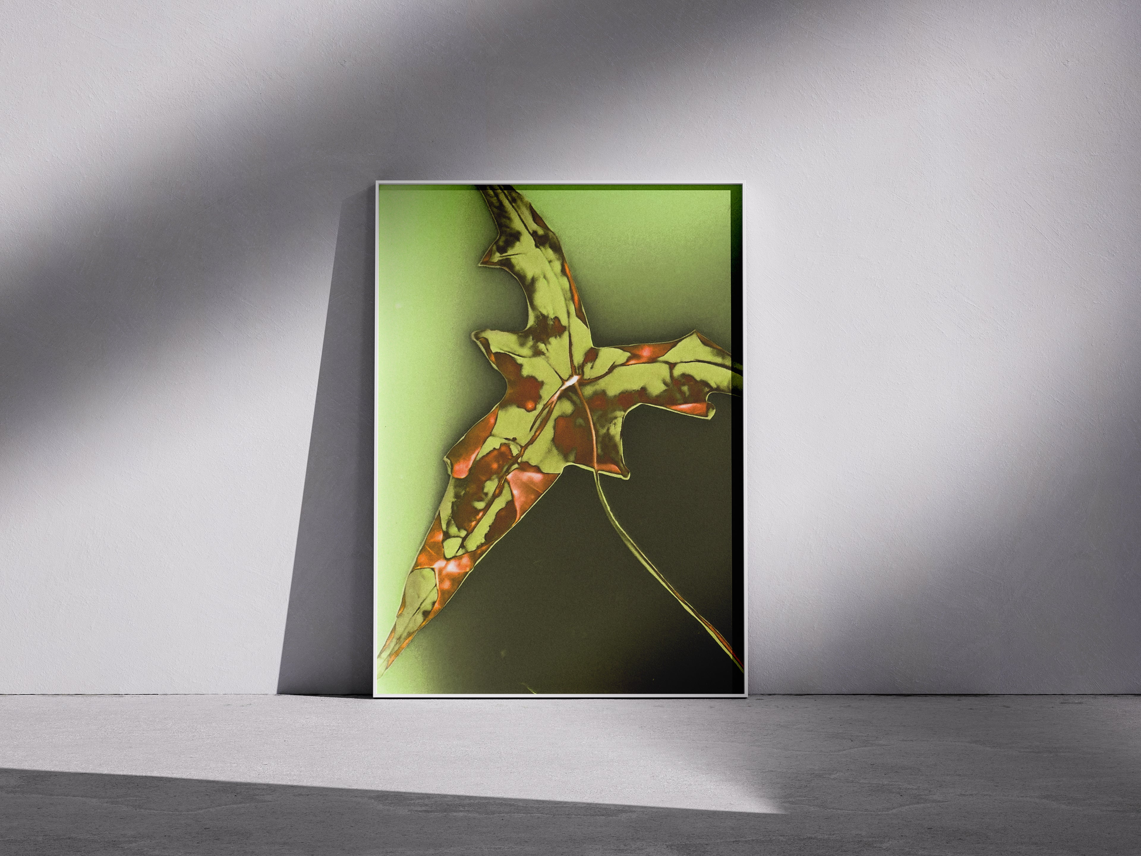 Lumen Print — Coloured