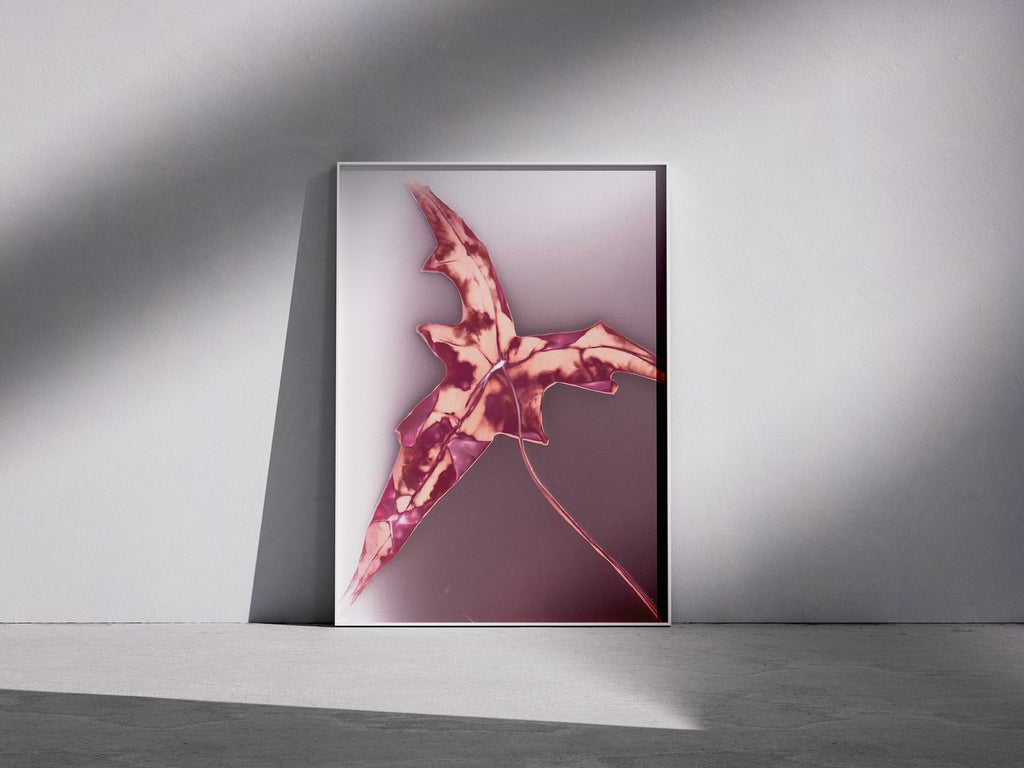 Lumen Print — Coloured