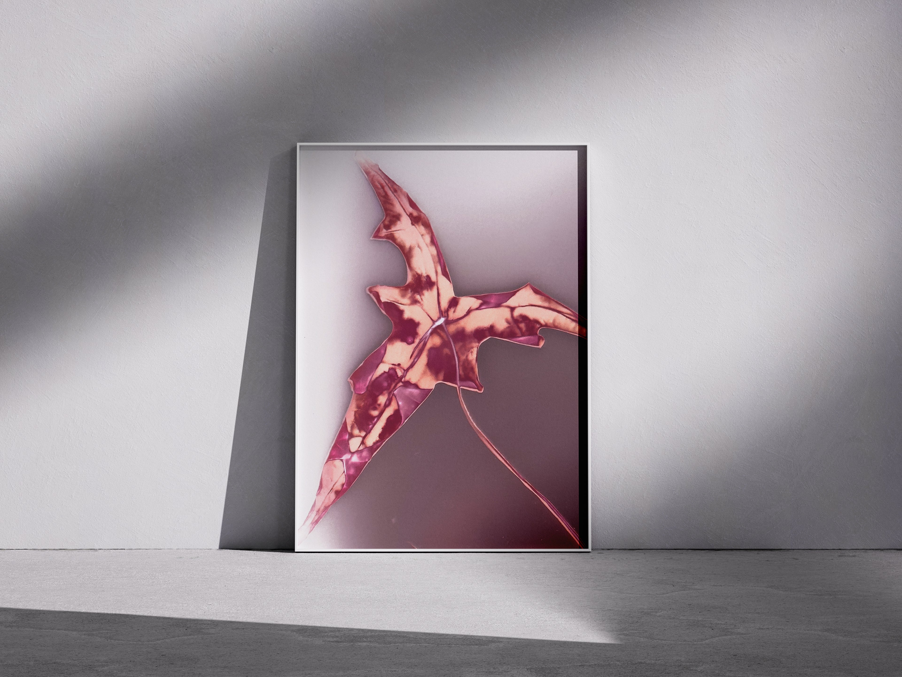 Lumen Print — Coloured