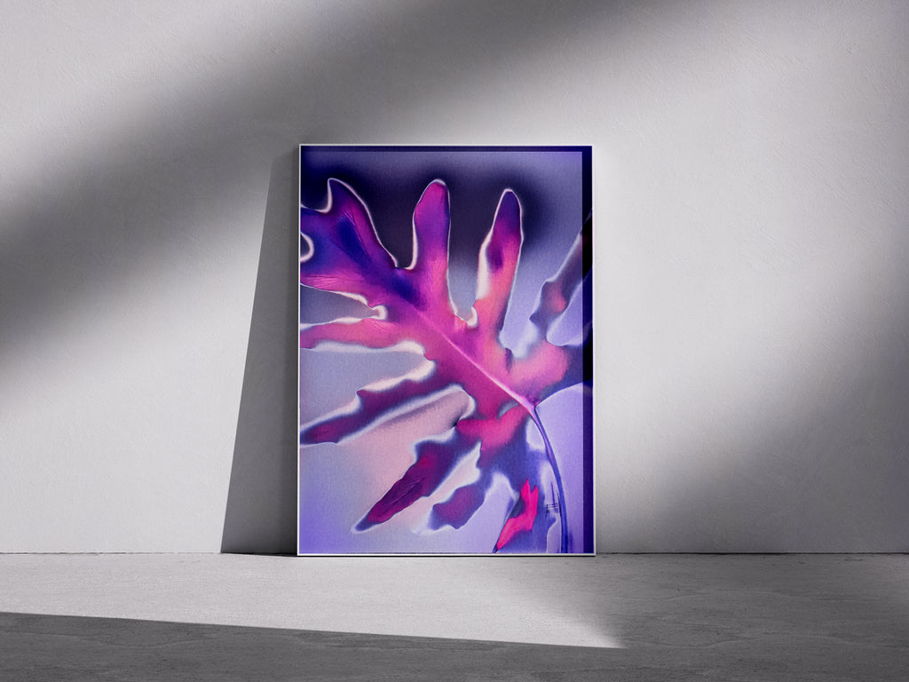 Lumen Print — Coloured